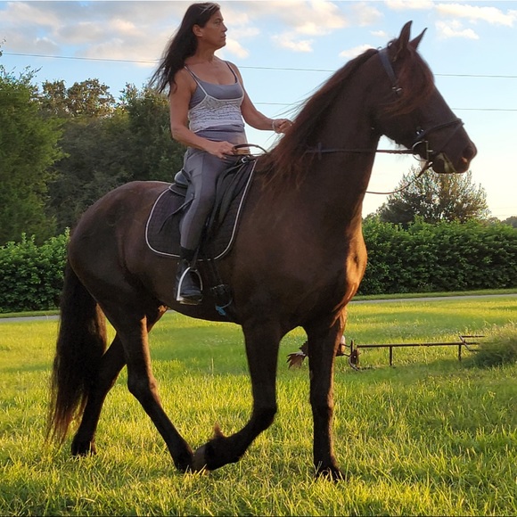 Meet your Posher, Linda - Picture 2 of 16